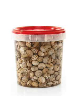 Caracois - L&B Frozen cooked snails-often referred to by the french escargots-are a gourmet delicacy made from land snails that have been pre -cooked, typically in a garlic-herb,lemon and oregano. Ready meals 8.8 Caracois #