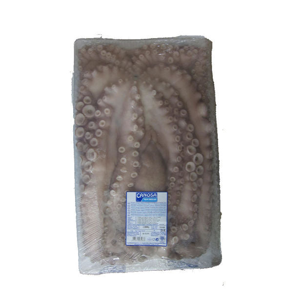 Octopus/kg(+/-3 to 4kg) - L&B Frozen raw whole octopus from Portugal (+/- 3 to 4kg) Fish 19.5 Octopus/kg(+/-3 to 4kg) #