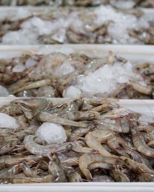Prawns-2kg